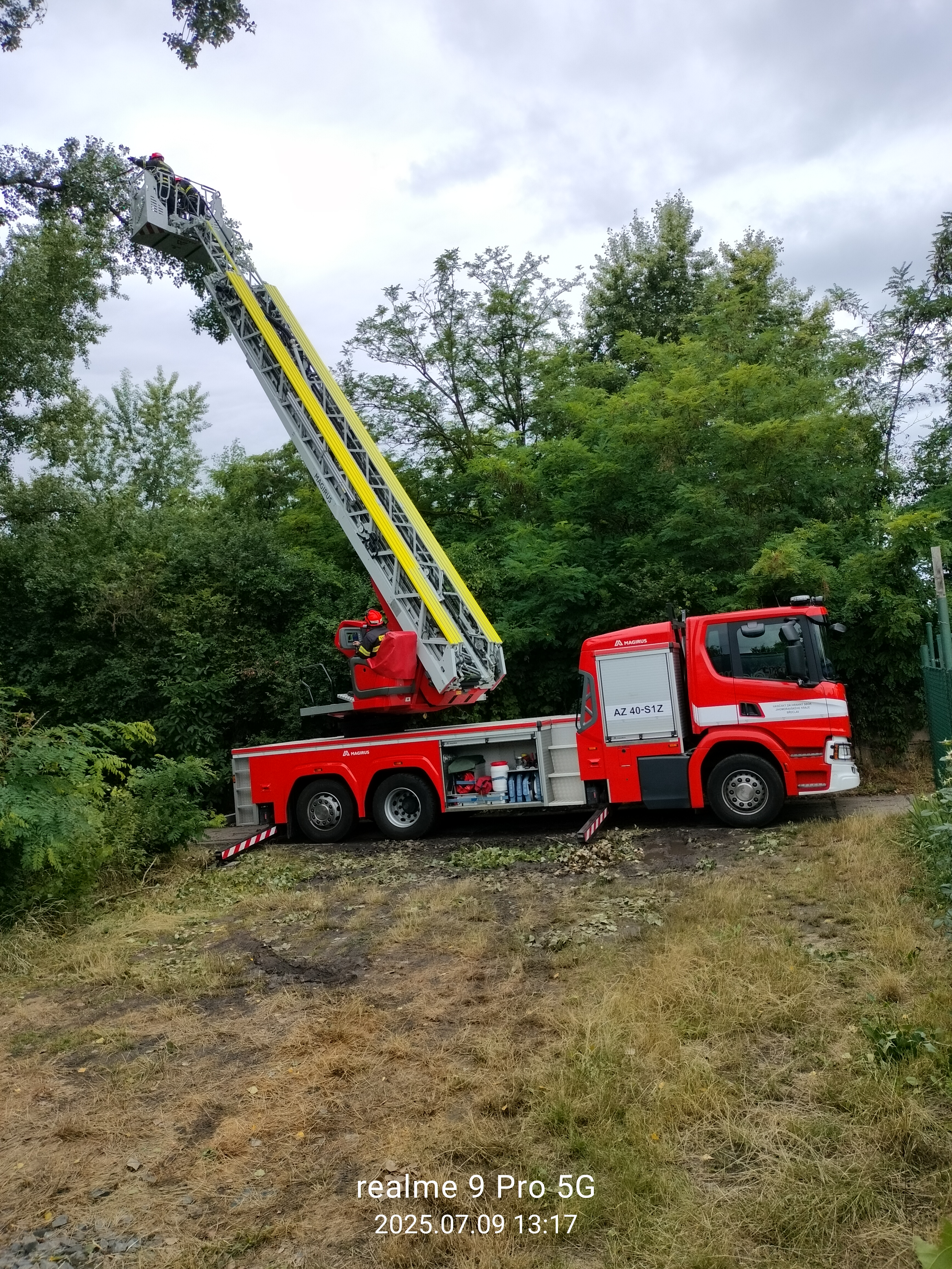 01-foto 1 - topol ořez.jpg